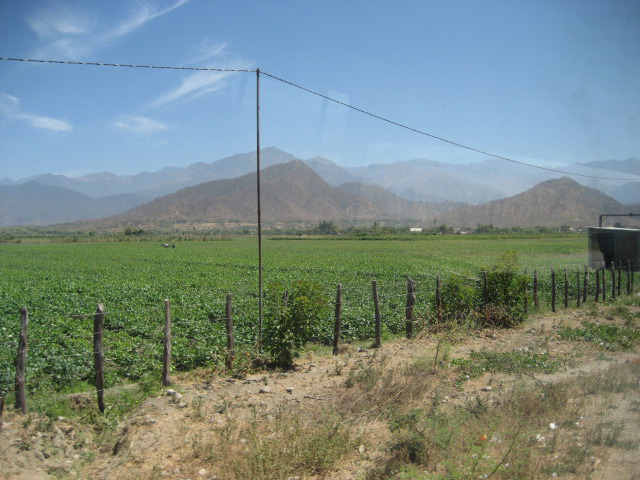 IMG_0318.jpg