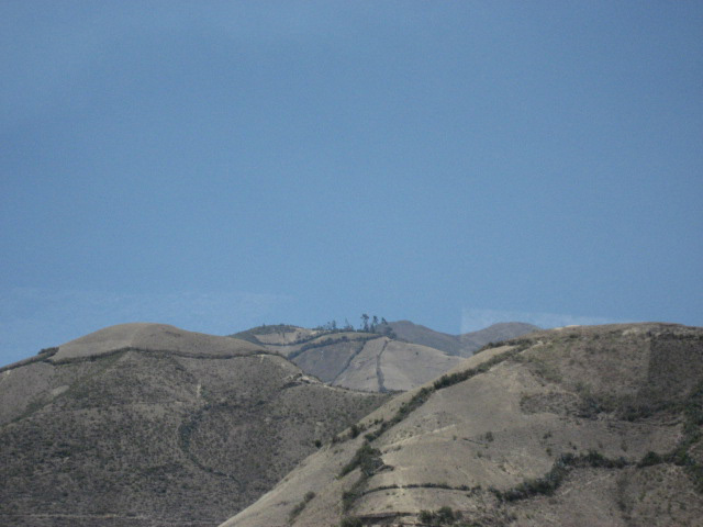 IMG_0363.jpg