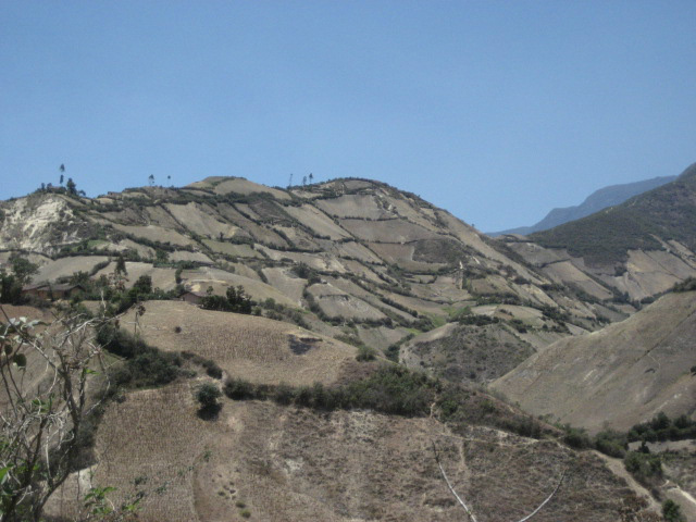 IMG_0365.jpg