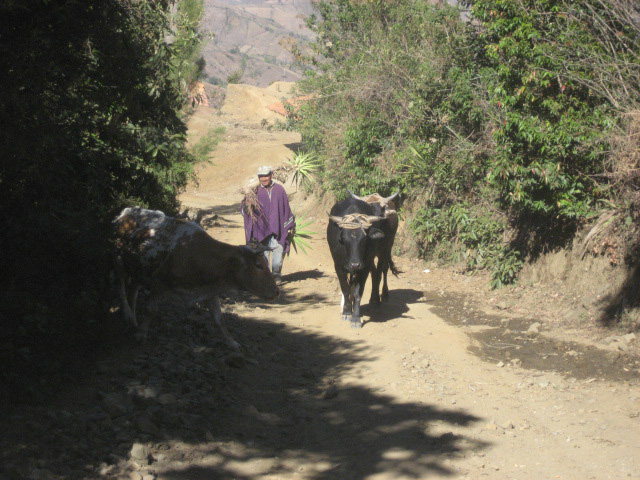 IMG_0341.jpg