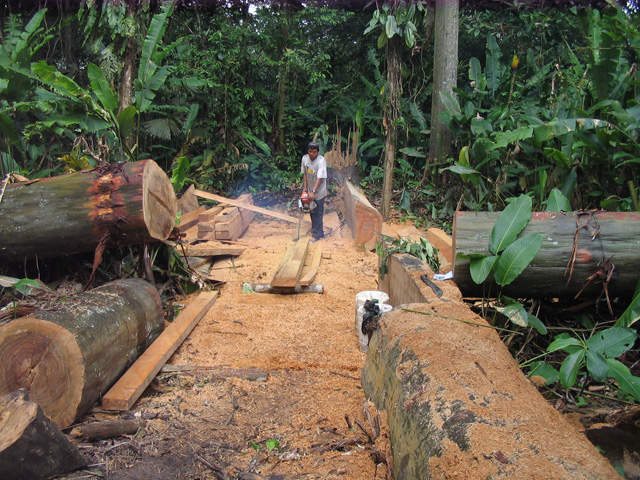 Iglesias de Amazonas.jpg89.jpg
